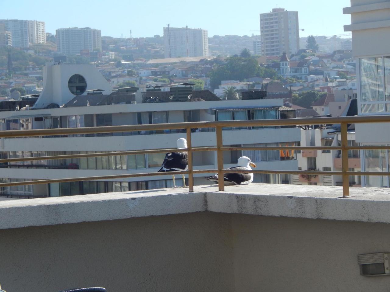 Appartamento 1201 Departamento Vs Centro Vina Vina del Mar Esterno foto